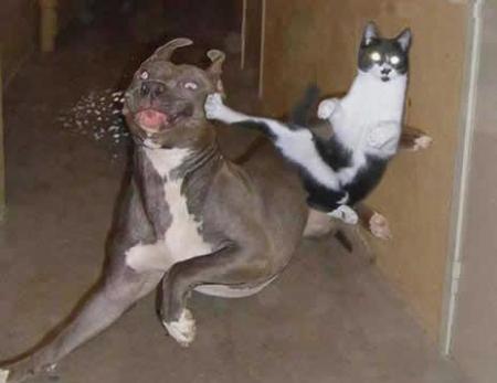  funny